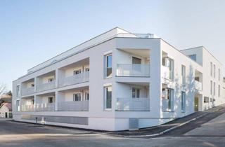 Wohnung mieten in 2120 Wolkersdorf im Weinviertel, Bahnstraße 32a | Top 9| Neuwertige Mietwohnung mit Balkon