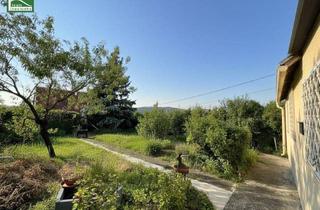 Grundstück zu kaufen in Torricelligasse, 1140 Wien, Sonniges Weitblick-Grundstück im Kleingarten in Breitensee auf Eigengrund mit ganzjährigem Wohnen!