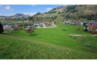 Grundstück zu kaufen in 4463 Großraming, Baugrundstücke für Ruhesuchende!