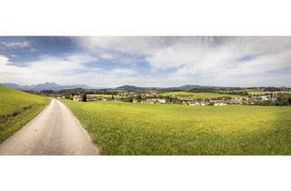 Doppelhaushälfte kaufen in 5300 Esch, Doppelhaushälfte am Grünland