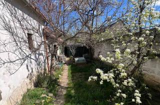 Bauernhäuser zu kaufen in 7091 Breitenbrunn am Neusiedler See, Altes Winzer-Bauernhaus mit 2 Weinkellern