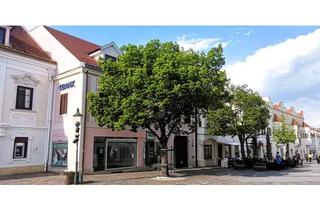 Geschäftslokal mieten in 7000 Eisenstadt, ELEGANTES GESCHÄFTSLOKAL - SOFORTÜBERNAHME - FREQUENZLAGE