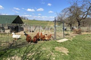 Bauernhäuser zu kaufen in 7540 Kleinmürbisch, Rarität: Modernisierter Hof mit über 10.000 m² Land!