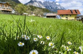 Grundstück zu kaufen in 8962 Mitterberg, Sonnig und naturnah! Ein schöner Bauplatz nahe Schladming