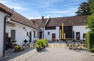 Wohnung kaufen in 2824 Seebenstein, Bauernhof mit fünf Wohnungen und einem schönen Baugrund