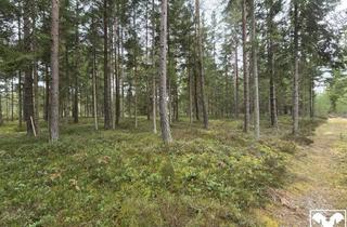 Gewerbeimmobilie kaufen in 9143 Sankt Michael ob Bleiburg, Investition in die Natur! Ebenes und weitläufiges Mischwaldgrundstück in Südkärnten