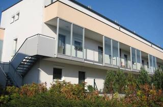 Wohnung mieten in 7210 Mattersburg, Wohnung in Mattersburg