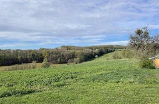 Grundstück zu kaufen in 7540 Kleinmürbisch, Grundstück (ca. 1,1 ha) mit traumhaften Ausblick