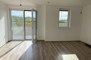 Wohnung mieten in 3452 Hankenfeld, 3 Zimmer Wohnung mit Balkon inkl. Stellplatz