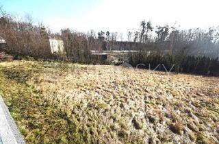 Grundstück zu kaufen in 4224 Wartberg ob der Aist, Siedlungsrandlage Wartberg - Rarität