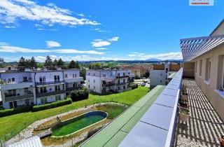 Wohnung mieten in Fritz Potzmader- Gasse, 3252 Petzenkirchen, 4- Zimmer Dachgeschosswohnung mit traumhafter Dachterrasse/Lift/PKW-Abstellplatz und exklusivem Schwimmbiotop
