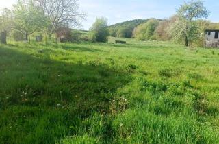 Grundstück zu kaufen in Parkstraße 14, 7542 Gerersdorf bei Güssing, Sonniger Baugrund im Südburgenland
