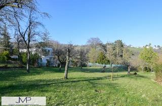 Grundstück zu kaufen in Hubert-Eder-Weg 9 - 13, 1190 Wien, Schönes, größeres Kleingartengrundstück in absoluter Ruhelage - mit PKW direkt erreichbar!