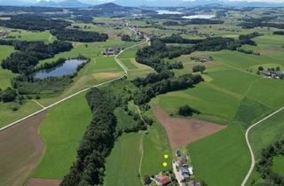 Grundstück zu kaufen in Salzburger Seengebiet, 5221 Lochen am See, Baugrundstück ohne Bauzwang Nähe Mattsee