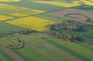 Immobilie kaufen in Bad Waltersdorf, 8272 Sebersdorf, Ackerfläche mit Guter Bonität