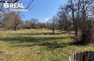 Haus kaufen in 7431 Bad Tatzmannsdorf, Großzügiges Wohnhaus mit Riesigem Garten im Thermenort Bad Tatzmannsdorf