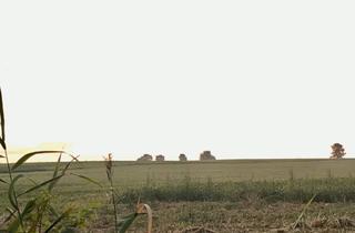 Grundstück zu kaufen in Oberwart, Pinkafeld, Hartberg, 7411 Markt Allhau, Sonnige, Ebene und Leistbare Grundstücke in Zentraler Lage in Markt Allhau - Grundstücksgrößen Variabel!