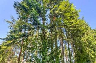 Gewerbeimmobilie kaufen in 4656 Kirchham, PERFEKTER HOBBY-WALD mit Arbeitshütte !