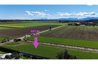 Grundstück zu kaufen in 4652 Steinerkirchen an der Traun, Eben, sonnig, südseitig, top Baugrund in ruhiger Siedlungslage | Steinerkirchen Frohnhofen | GST-Nr. 1102/9