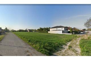 Grundstück zu kaufen in 2421 Kittsee, Chikago, Chikago!