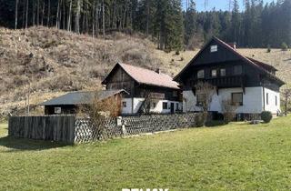 Bauernhäuser zu kaufen in 8612 Unterort, *** Charmantes teilsaniertes Landanwesen mit 10.978 m² Grund – Ruhe, Natur und vielseitige Nutzungsmöglichkeiten nur wenige Minuten zum grünen See ***