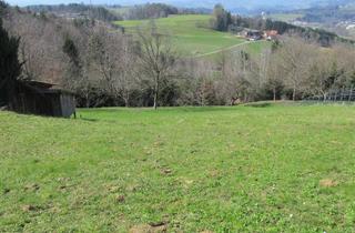 Grundstück zu kaufen in Schönegg, 8544 Brunn, * GRUNDSTÜCK MIT BESTEHENDER DOPPELGARAGE *