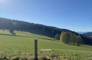 Gewerbeimmobilie kaufen in 8720 Sankt Margarethen bei Knittelfeld, 4,2 ha Wiesenfläche im Raum Knittelfeld