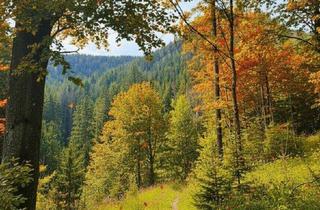 Gewerbeimmobilie kaufen in 8614 Sankt Erhard, 13,3 ha Wirtschaftswald auf der Teichalm