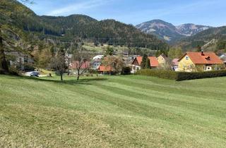 Grundstück zu kaufen in Eichtfeldweg Grundstücknummer 00, 8692 Alpl, Sonniger Baugrund in Ruhelage