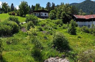 Grundstück zu kaufen in 6215 Steinberg am Rofan, *Ruhelage* Großzügiges Baugrundstück in Steinberg am Rofan zu kaufen