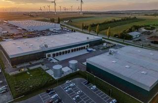 Büro zu mieten in 2460 Bruck an der Leitha, Logistikflächen in top Lage zu mieten