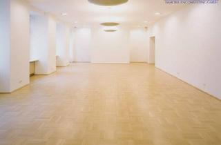 Büro zu mieten in Graben, 1010 Wien, Geschäftsfläche - 2 Ebenen - Seitengasse Graben