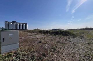  in Twin-City-Business-Park, 2473 Potzneusiedl, Industriegrundstück in 2473 Potzneusiedl, Twin-City-Businesspark, Kauf oder Miete (Provisionsfrei)