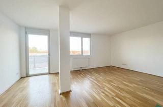 Wohnung mieten in 1210 Wien, Preis gesenkt: 2-Zimmer Wohnung mit Balkon & neuer Küche nahe der Siemens AG