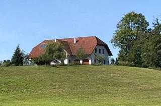 Wohnung mieten in 4643 Pettenbach, Almtal - Wohnen auf Zeit - Ferienwohnung