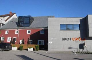 Gewerbeimmobilie mieten in 4470 Enns, LOFT mit Galerie und vielen Nutzungsmöglichkeiten!