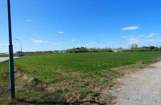 Gewerbeimmobilie kaufen in 2474 Gattendorf, BETRIEBSBAUGRUND IN NEUER GEWERBEZONE