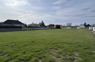 Grundstück zu kaufen in 7111 Parndorf, Baugrundstück in ruhiger Wohnlage - 911 m² in Parndorf