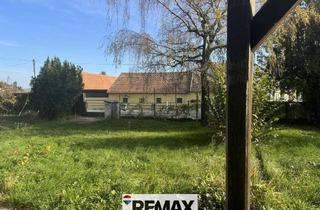 Grundstück zu kaufen in 3434 Katzelsdorf, "Wunderschönes Grundstück in Katzelsdorf"