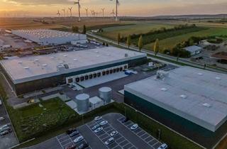 Immobilie mieten in 2460 Bruck an der Leitha, Logistikflächen in top Lage zu mieten