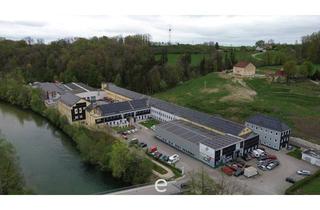 Gewerbeimmobilie kaufen in 4523 Neuzeug, Rented commercial property for sale in Sierning/Neuzeug!