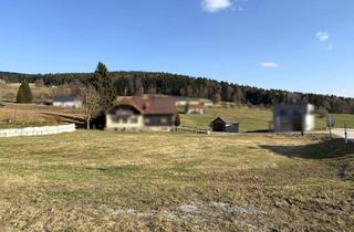 Grundstück zu kaufen in 4164 Schwarzenberg am Böhmerwald, Sonniges Baugrundstück im Naturparadies Böhmerwald