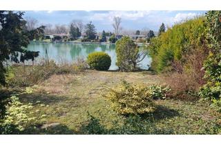 Haus kaufen in Neuhofsee, 2325 Velm, Haus am See - 1. Reihe