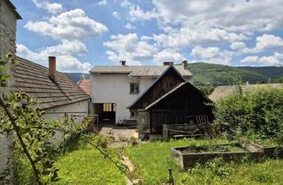 Haus kaufen in 7443 Liebing, Gepflegtes Wohnhaus mit hoher Privatsphäre und Ausblick!