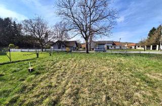 Grundstück zu kaufen in 8280 Altenmarkt bei Fürstenfeld, Sonniges Grundstück (1.420m²) in ruhiger Lage in Altenmarkt!