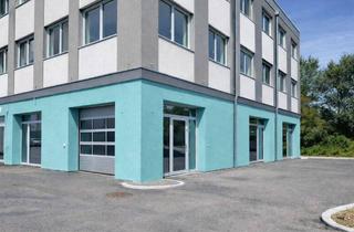Büro zu mieten in Donaustraße, 1190 Wien, Moderne, ebenerdige Gewerbefläche mit Loft-Charakter & Sektionaltor – vielseitig nutzbar