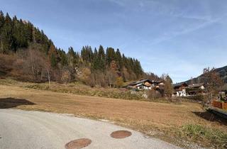 Grundstück zu kaufen in 5542 Reitdorf, Rarität Reitdorf: Baugrund & XXL-Grünland 2.883m² - KEIN BAUZWANG