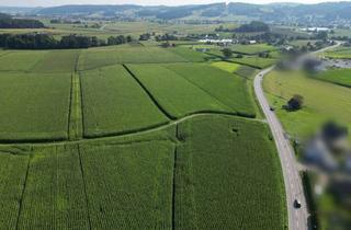 Grundstück zu kaufen in 8421 Breitenfeld am Tannenriegel, Betriebsbaugrund 671M² in Breitenfeld am Tannenriegel - ihr Standort in der Steiermark!