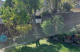 Haus kaufen in Teichgasse, 2102 Bisamberg, Neuer Preis! Nur 10 Minuten vor Wien! Zwei Nebeneinander Liegende Kleingartenhäuser (Auf Eigengrund)!