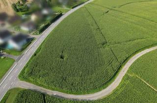 Grundstück zu kaufen in 8421 Breitenfeld am Tannenriegel, Großes Betriebsbaugrundstück 1237M² in Breitenfeld am Tannenriegel - ihr Standort!